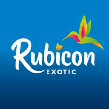 rubicon